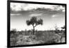 Awesome South Africa Collection B&W - African Landscape XIII-Philippe Hugonnard-Framed Photographic Print