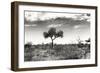Awesome South Africa Collection B&W - African Landscape XIII-Philippe Hugonnard-Framed Photographic Print