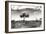 Awesome South Africa Collection B&W - African Landscape XIII-Philippe Hugonnard-Framed Photographic Print