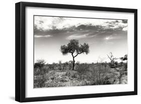 Awesome South Africa Collection B&W - African Landscape XIII-Philippe Hugonnard-Framed Photographic Print