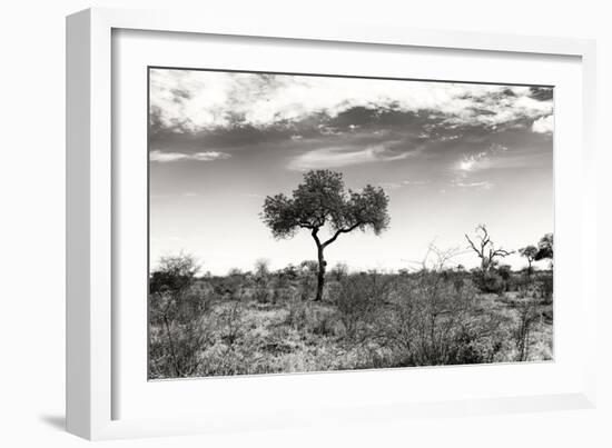 Awesome South Africa Collection B&W - African Landscape XIII-Philippe Hugonnard-Framed Photographic Print