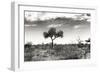 Awesome South Africa Collection B&W - African Landscape XIII-Philippe Hugonnard-Framed Photographic Print