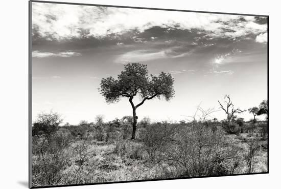 Awesome South Africa Collection B&W - African Landscape XIII-Philippe Hugonnard-Mounted Photographic Print