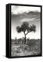 Awesome South Africa Collection B&W - African Landscape XIV-Philippe Hugonnard-Framed Stretched Canvas