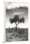 Awesome South Africa Collection B&W - African Landscape XIV-Philippe Hugonnard-Framed Photographic Print