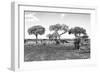 Awesome South Africa Collection B&W - African Landscape XV-Philippe Hugonnard-Framed Photographic Print