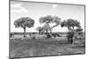 Awesome South Africa Collection B&W - African Landscape XV-Philippe Hugonnard-Mounted Photographic Print