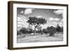 Awesome South Africa Collection B&W - African Landscape-Philippe Hugonnard-Framed Photographic Print