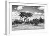 Awesome South Africa Collection B&W - African Landscape-Philippe Hugonnard-Framed Photographic Print