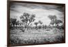 Awesome South Africa Collection B&W - African Natural Landscape-Philippe Hugonnard-Framed Photographic Print