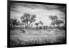 Awesome South Africa Collection B&W - African Natural Landscape-Philippe Hugonnard-Framed Photographic Print