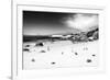 Awesome South Africa Collection B&W - African Penguins at Foxi Beach-Philippe Hugonnard-Framed Photographic Print