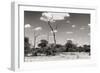 Awesome South Africa Collection B&W - African Savannah Landscape II-Philippe Hugonnard-Framed Photographic Print