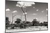 Awesome South Africa Collection B&W - African Savannah Landscape II-Philippe Hugonnard-Mounted Photographic Print
