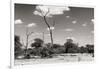 Awesome South Africa Collection B&W - African Savannah Landscape II-Philippe Hugonnard-Framed Photographic Print