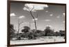 Awesome South Africa Collection B&W - African Savannah Landscape II-Philippe Hugonnard-Framed Photographic Print