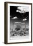 Awesome South Africa Collection B&W - African Savannah Landscape III-Philippe Hugonnard-Framed Photographic Print