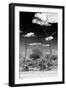 Awesome South Africa Collection B&W - African Savannah Landscape III-Philippe Hugonnard-Framed Photographic Print