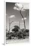 Awesome South Africa Collection B&W - African Savannah Landscape IV-Philippe Hugonnard-Framed Photographic Print