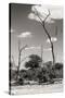 Awesome South Africa Collection B&W - African Savannah Landscape IV-Philippe Hugonnard-Stretched Canvas