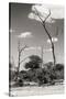 Awesome South Africa Collection B&W - African Savannah Landscape IV-Philippe Hugonnard-Stretched Canvas