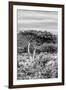 Awesome South Africa Collection B&W - African Savannah Landscape VI-Philippe Hugonnard-Framed Photographic Print