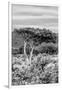 Awesome South Africa Collection B&W - African Savannah Landscape VI-Philippe Hugonnard-Framed Photographic Print