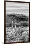 Awesome South Africa Collection B&W - African Savannah Landscape VI-Philippe Hugonnard-Framed Photographic Print