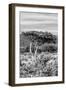 Awesome South Africa Collection B&W - African Savannah Landscape VI-Philippe Hugonnard-Framed Photographic Print