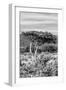 Awesome South Africa Collection B&W - African Savannah Landscape VI-Philippe Hugonnard-Framed Photographic Print