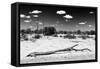 Awesome South Africa Collection B&W - African Savannah Landscape-Philippe Hugonnard-Framed Stretched Canvas