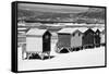 Awesome South Africa Collection B&W - Beach Huts Cape Town-Philippe Hugonnard-Framed Stretched Canvas