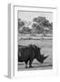 Awesome South Africa Collection B&W - Black Rhinoceros with Oxpecker II-Philippe Hugonnard-Framed Photographic Print