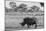 Awesome South Africa Collection B&W - Black Rhinoceros with Oxpecker-Philippe Hugonnard-Mounted Photographic Print