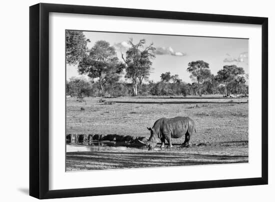 Awesome South Africa Collection B&W - Black Rhinoceros-Philippe Hugonnard-Framed Photographic Print