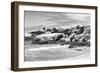 Awesome South Africa Collection B&W - Boulders Beach Cape Town-Philippe Hugonnard-Framed Photographic Print