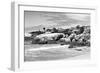 Awesome South Africa Collection B&W - Boulders Beach Cape Town-Philippe Hugonnard-Framed Photographic Print