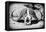 Awesome South Africa Collection B&W - Buffalo Skull in Savannah-Philippe Hugonnard-Framed Stretched Canvas