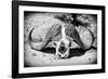 Awesome South Africa Collection B&W - Buffalo Skull in Savannah-Philippe Hugonnard-Framed Photographic Print