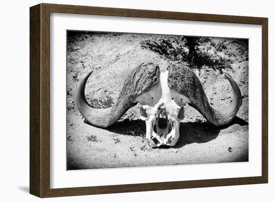 Awesome South Africa Collection B&W - Buffalo Skull in Savannah-Philippe Hugonnard-Framed Photographic Print