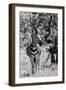 Awesome South Africa Collection B&W - Burchell's Zebra I-Philippe Hugonnard-Framed Photographic Print