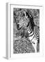 Awesome South Africa Collection B&W - Burchell's Zebra Portrait II-Philippe Hugonnard-Framed Photographic Print