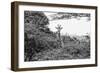 Awesome South Africa Collection B&W - Curious Giraffe-Philippe Hugonnard-Framed Photographic Print