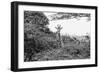 Awesome South Africa Collection B&W - Curious Giraffe-Philippe Hugonnard-Framed Photographic Print