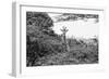 Awesome South Africa Collection B&W - Curious Giraffe-Philippe Hugonnard-Framed Photographic Print