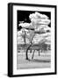 Awesome South Africa Collection B&W - Dead Tree in the African Savannah III-Philippe Hugonnard-Framed Photographic Print