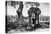 Awesome South Africa Collection B&W - Elephant I-Philippe Hugonnard-Stretched Canvas