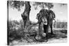 Awesome South Africa Collection B&W - Elephant I-Philippe Hugonnard-Stretched Canvas