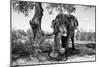 Awesome South Africa Collection B&W - Elephant I-Philippe Hugonnard-Mounted Photographic Print