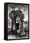 Awesome South Africa Collection B&W - Elephant II-Philippe Hugonnard-Framed Stretched Canvas